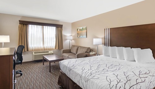 Standard Room, 1 King Bed, Non Smoking, Refrigerator & Microwave