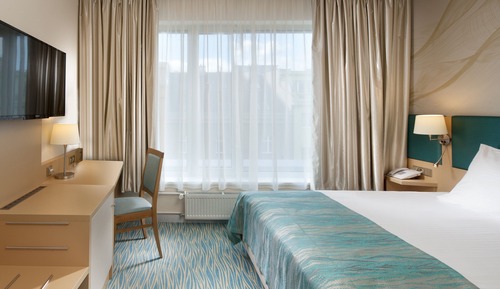 Suite, 1 King Bed with Sofa bed