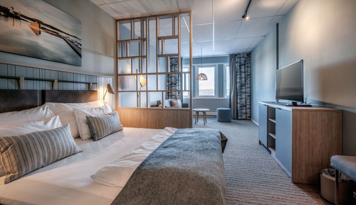 Deluxe Double Room, 1 Double Bed with Sofa bed, Non Smoking