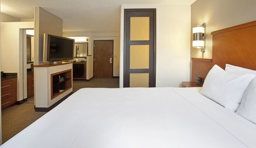 Room, 1 King Bed (High Floor)