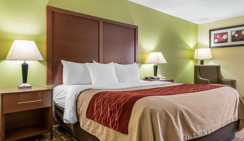 Standard Room, 1 King Bed, Non Smoking