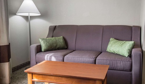 Standard Room, 1 King Bed with Sofa bed