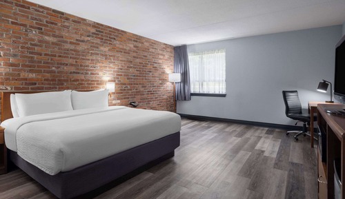 Room, 1 King Bed, Accessible, Non Smoking (Roll-in Shower)