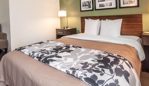 Room, 1 Queen Bed, Accessible, Non Smoking