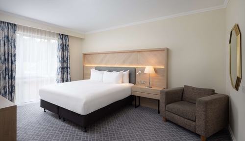Suite, 1 King Bed