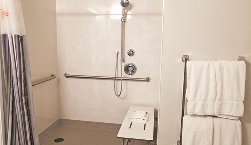 Deluxe Suite, 1 Queen Bed, Accessible, Non Smoking (Mobility,Hearing,Roll-In Shower)