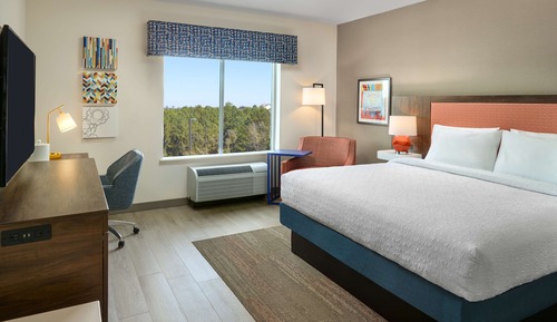 Room, 1 King Bed