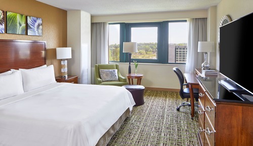 Room, 1 King Bed