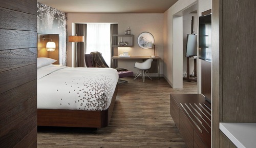 Suite, 1 Bedroom