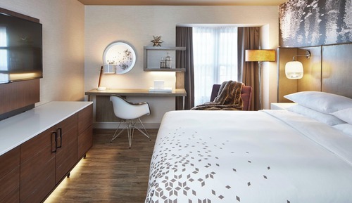 Room, 1 King Bed