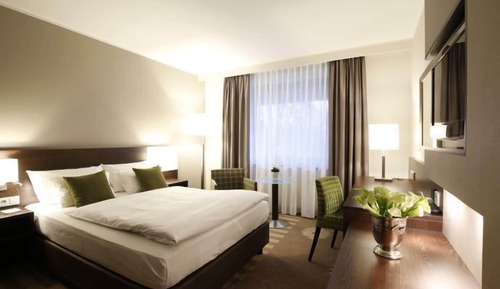 Superior Single Room, 1 Queen Bed (French)