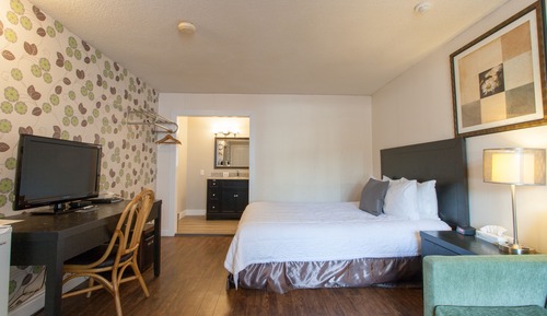 Room, 1 King Bed with Sofa bed