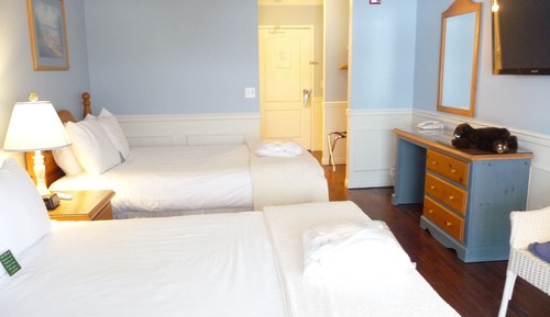 Standard Room, Mountain View