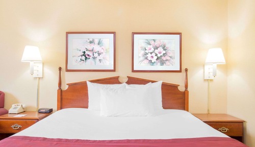 Room, 1 King Bed, Accessible, Non Smoking (Roll-In Shower)