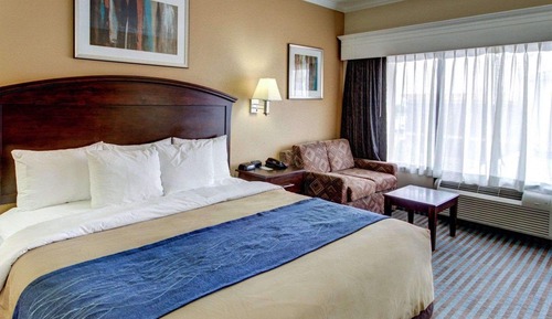 Standard One King Bed Non-Smoking