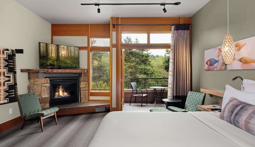 Room, 1 King Bed (Nicer)