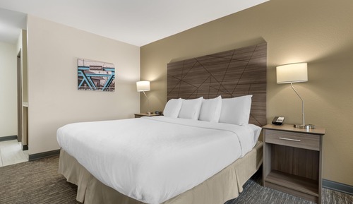 Standard Room, 1 King Bed, Non Smoking, Refrigerator