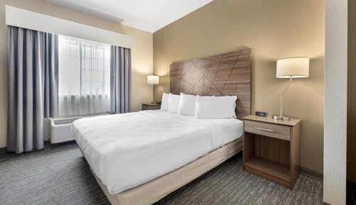Suite, 1 King Bed with Sofa bed, Accessible, Non Smoking (with Sofabed)