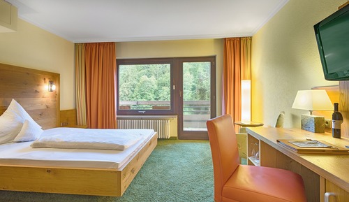Panoramic Double Room