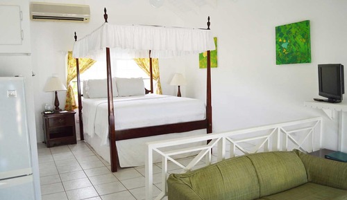 Studio, 1 Queen Bed with Sofa bed