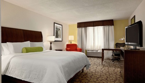 Room, 1 King Bed with Sofa bed