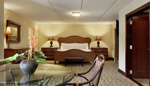 Suite, 1 King Bed, Jetted Tub (Safari Suite)
