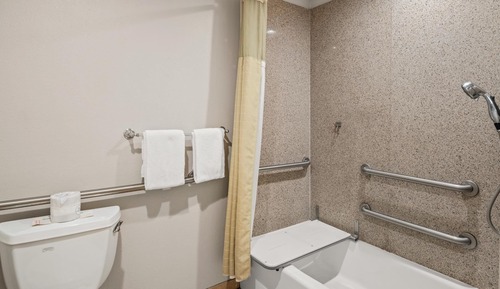 Room, 1 Queen Bed, Accessible, Bathtub
