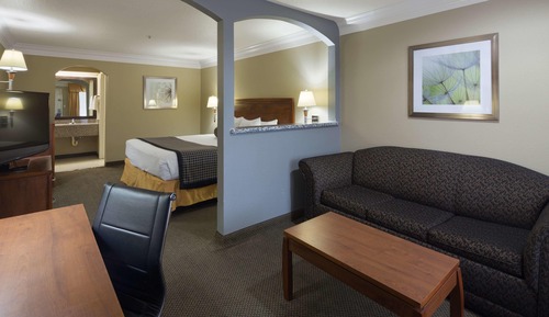 Suite, 1 King Bed with Sofa bed, Accessible, Bathtub (with Sofabed)