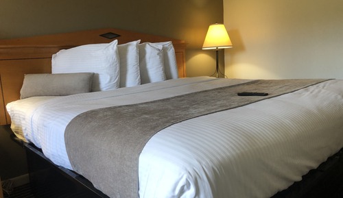 Room, 1 King Bed, Smoking