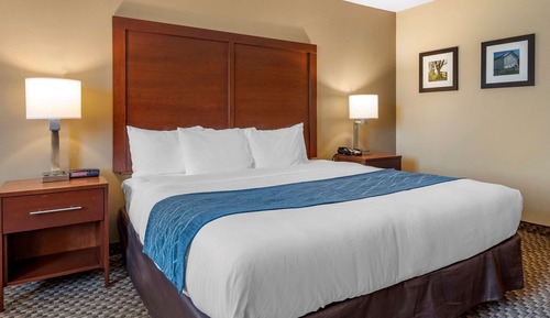 Standard Room, 1 King Bed, Non Smoking