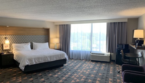 Suite, 1 King Bed