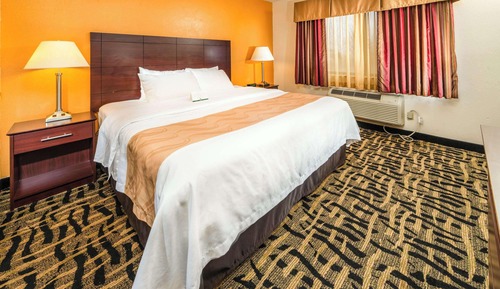 Standard Room, 1 King Bed, Non Smoking