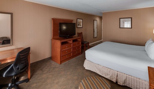 Standard Room, 1 King Bed, Non Smoking, Jetted Tub