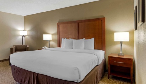 Room, 1 King Bed, Non Smoking