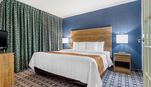 Suite, 1 King Bed with Sofa bed, Non Smoking