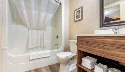 Suite, 1 King Bed, Non Smoking (Efficiency)