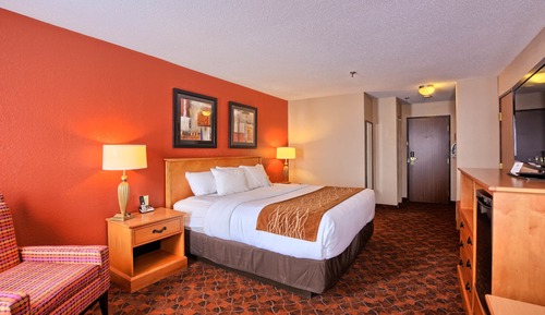 Standard Room, 1 King Bed, Non Smoking