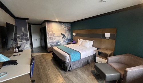 Standard Room, 1 King Bed, Accessible