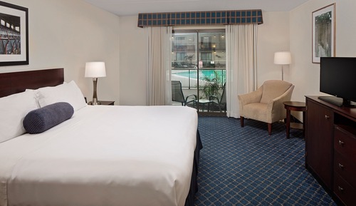 Standard Room, 1 King Bed (Poolview)