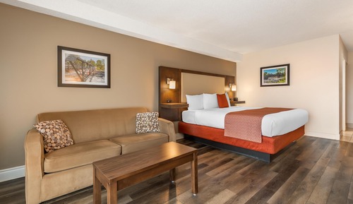 Standard Room, 1 King Bed, Non Smoking, Refrigerator