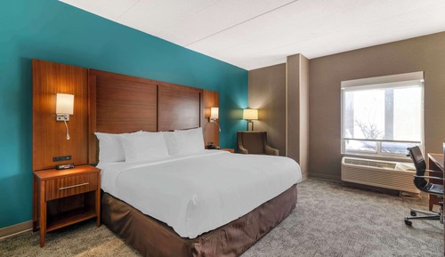 Room, 1 King Bed, Accessible, Non Smoking