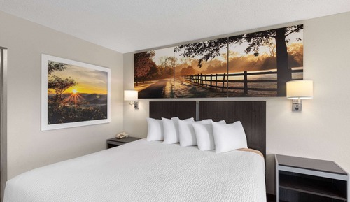 Room, 1 King Bed, Smoking