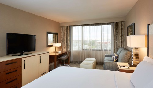 Room, 1 King Bed