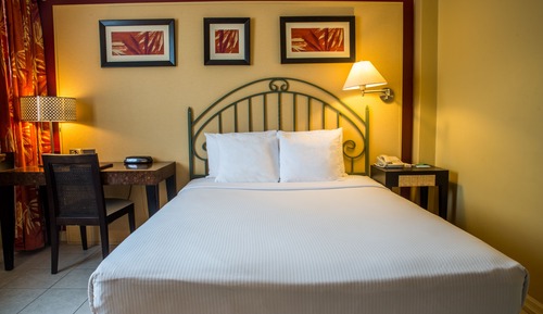 Standard Room, 1 Queen Bed