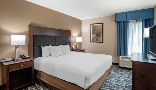 Room, 1 King Bed with Sofa bed, Non Smoking