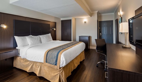 Standard Room, 1 King Bed, Non Smoking, Refrigerator (Shower only)