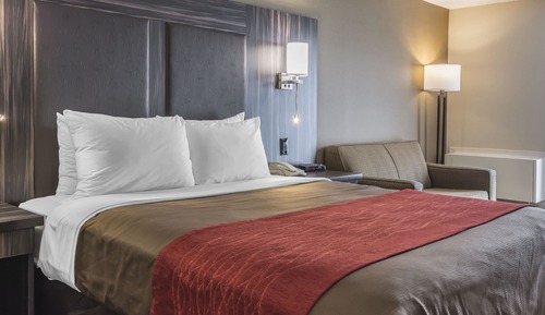 Comfort Care, Standard Queen Room, Second Floor, Non Smoking