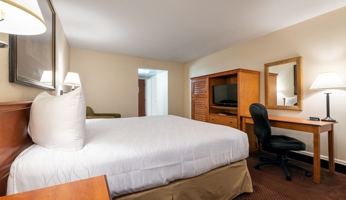 Standard Room, 1 King Bed