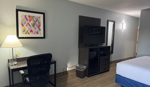 Standard Room, 1 King Bed, Accessible, Non Smoking