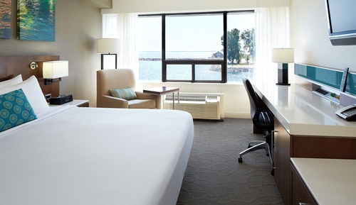 Room, 1 King Bed